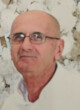 VESELIN BABIĆ